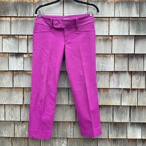 Vibrant Purple  Pants